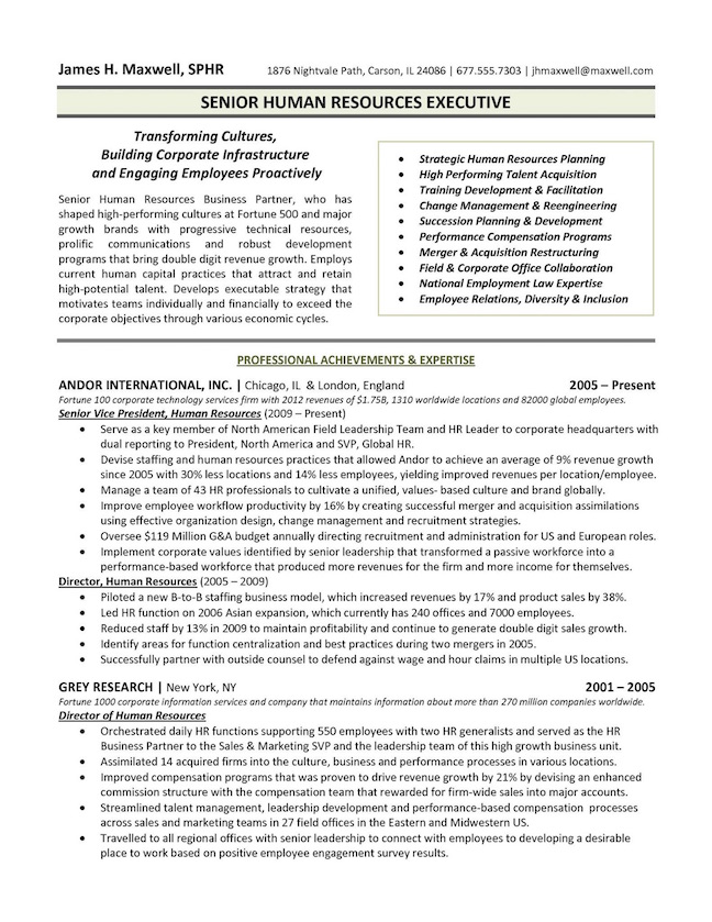 The Top 4 Executive Resume Examples Written by a ...