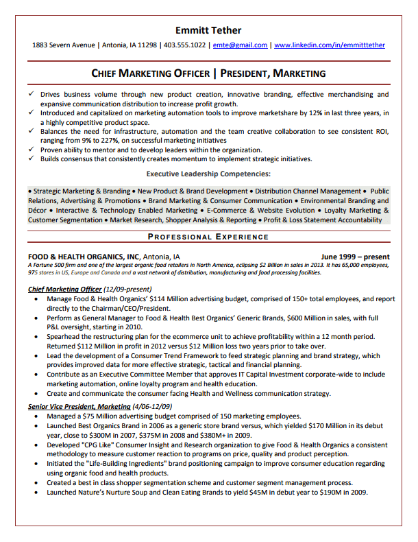 Executive Resume Samples