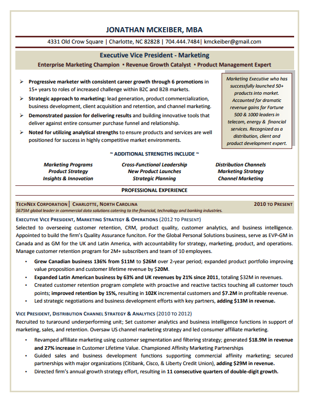 Resume Format Of Marketing Executive 2019 Executive Resume Samples